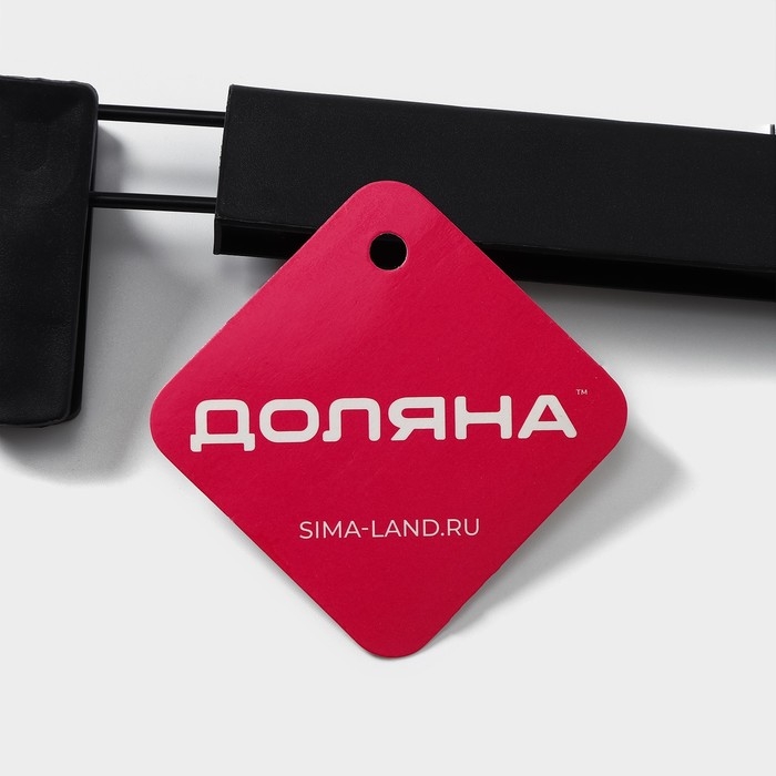 Вешалка для брюк и юбок Доляна, 29&times;13 см, с зажимами, цвет чёрный