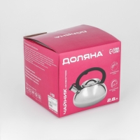 Чайник со свистком из нержавеющей стали Доляна &laquo;Квант&raquo;, 2,8 л, фиксированная ручка, цвет хромированный