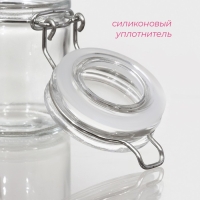 Банка стеклянная для хранения сыпучих продуктов Доляна &laquo;Оптима&raquo;, 50 мл, 6,5&times;4,5&times;6 см, с бугельным замком