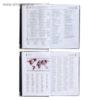 Ежедневник полудатированный А5+, 208 листов Boss, твёрдая обложка, искусственная кожа, золотой срез, коричневый