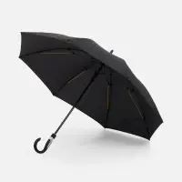 Зонт-трость Rainzee, черный