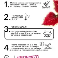 Семена цветов Колеус "Визард Скарлет", 10 шт