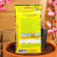 Семена цветов Клещевина "Горячее сердце", О, 2 г