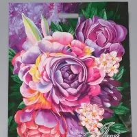 Пакет "Жанет, полиэтиленовый с вырубной ручкой 50х60 см, 100 мкм