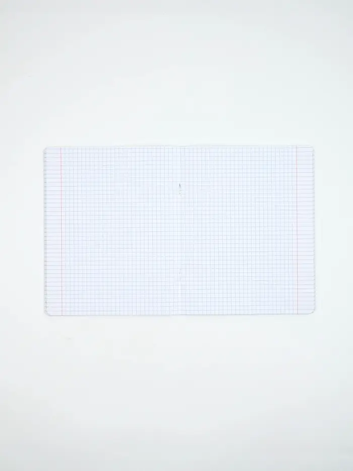 Тетради в клетку, 48 л., набор из 5 шт., блок №1 &laquo;Патриотизм&raquo; матовая ламинация, тиснение