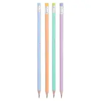 Карандаш чернографитный с ластиком ErichKrause "Pastel Bloom", НВ, грифель d=2,2 мм, дерево, трехгранный в тубусе, микс