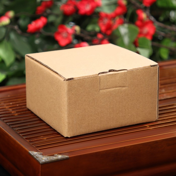 Чайник для плиты Доляна &laquo;Восточная ночь. Золото&raquo;, 300 мл, с ситом, чугун, индукция, цвет золотой