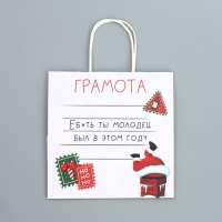 Пакет подарочный новогодний крафтовый &laquo;Молодец&raquo;, 22 х 22 х 11 см, Новый год