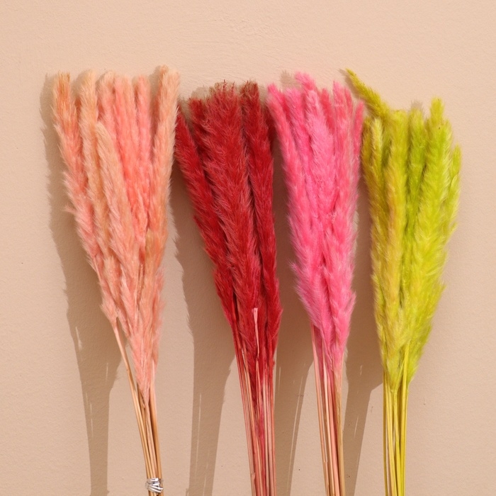 Набор сухоцветов 80 см (10 шт) цвет микс