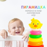 Пирамидка &laquo;Цыплёнок&raquo;, 8 колец