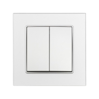 Выключатель TOT Matte Glass, 10 А, 2 кл., скрытый, стекло, серебристый