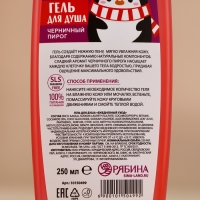 Гель для душа, 250 мл, аромат черничного пирога, Новый Год