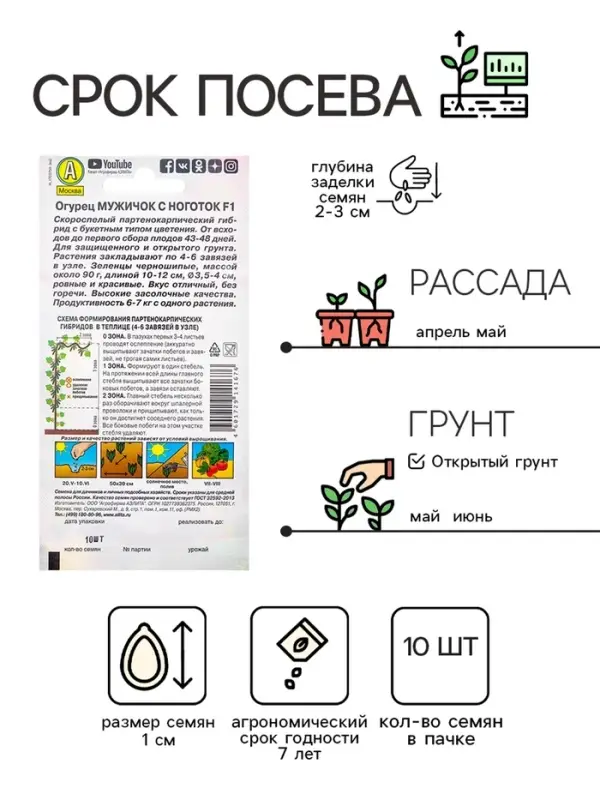 Семена Огурец "Мужичок с ноготок" F1, среднеранний, партенокарпический, 10 шт