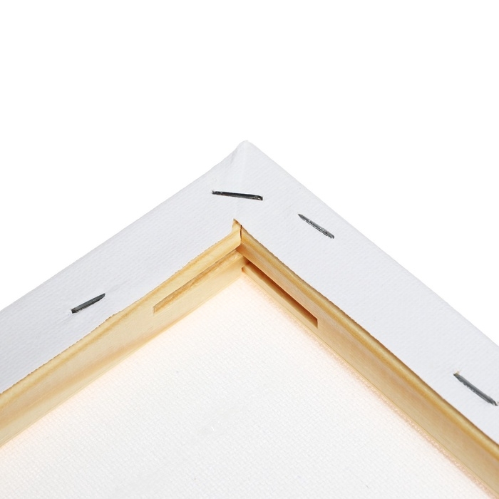 Холст на подрамнике 1,6х25х35 см, хлопок 100%, акриловый грунт, мелкозернистый, 280г/м&sup2;