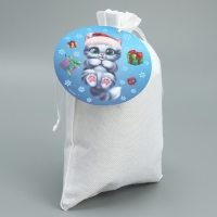 Мешок подарочный &laquo;Дружочек&raquo;, 20 х 30 см +/- 1.5 см, Новый год