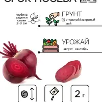 Семена Свёкла "Мулатка", 2 г