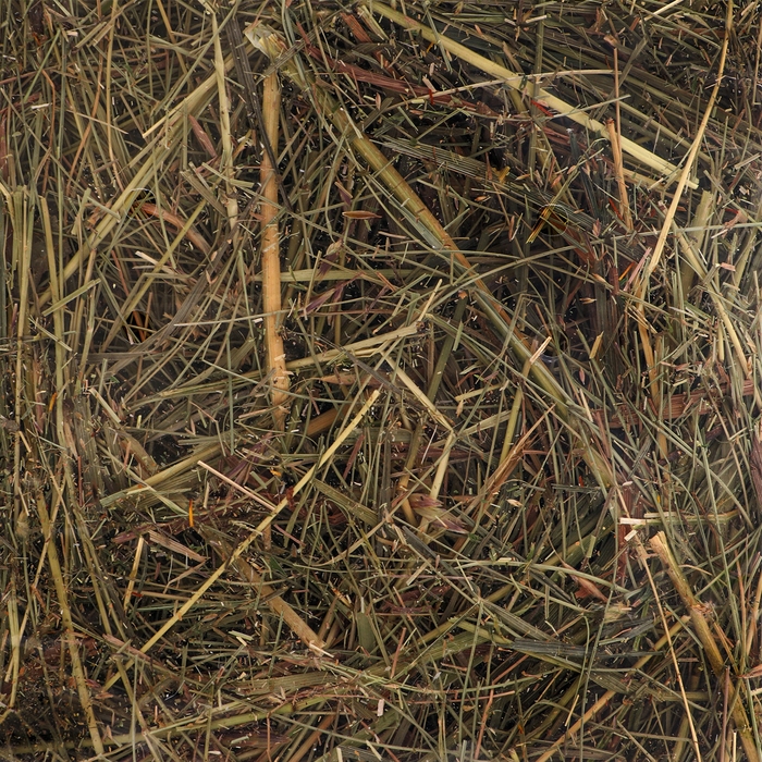 Сено луговое с люцерной &laquo;Пижон&raquo; для грызунов, 20 л, 500 г