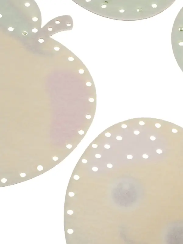 Развивающий набор "Шьем Сами. Фрукты" LIP1411