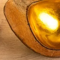 Чаша из кокоса, 15.5&times;21&times;7 см, коричнево-золотая