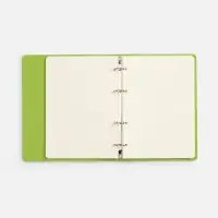 Ежедневник Ringo, недатированный, зеленый