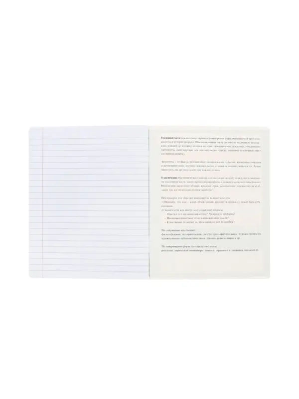 Тетрадь 48 листов в линию &laquo;Буквица&raquo; для сочинений, белые листы
