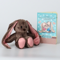 Мягкая игрушка &laquo;Зайка Li&raquo;, с книгой, девочка, заяц, 25 см