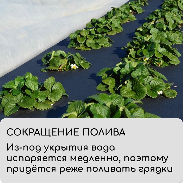 Материал мульчирующий, 5 &times; 0,8 м, плотность 80 г/м&sup2;, с УФ-стабилизатором, чёрный, Greengo, Эконом 30%