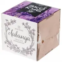 Набор для выращивания &laquo;Экокуб Lite&raquo;, лаванда