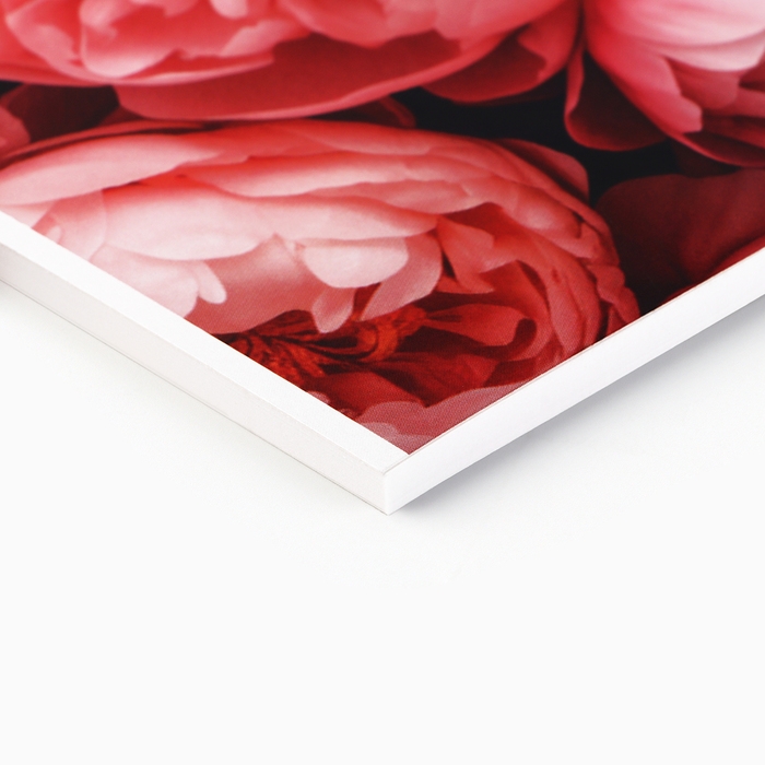 Альбом для рисования 40 листов на склейке А4 &laquo;Цветы&raquo;