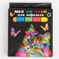 Мел цветной &laquo;Кот и бабочки. JUMBO&raquo;, 5 шт.