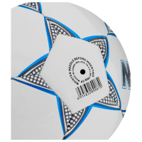 Футбольный мяч MINSA, машинная сшивка, 32 панели, р. 5, TPU