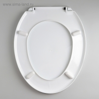 Сиденье для унитаза с крышкой Росспласт &laquo;Декор. Яблоко&raquo;, 44,5&times;37 см, белое