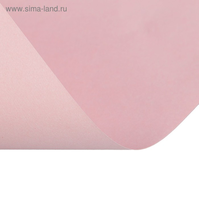 Бумага цветная А4, 500 листов Calligrata Пастель, 5 цветов, 80 г/м&sup2;