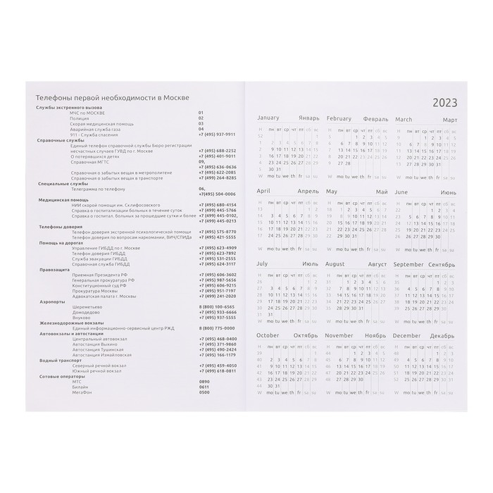 Ежедневник датированный 2024 года, А5, 176 листов, Attomex.Regent, обложка бумвинил, ляссе, блок 70 г/м2, серый