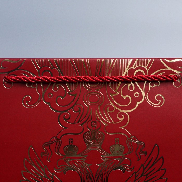 Пакет подарочный, упаковка, &laquo;Россия с тобой&raquo;, 32 х 26 х 12 см