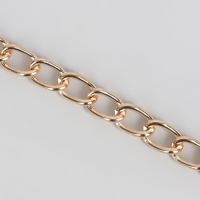 Цепочка для сумки, с карабинами, железная, 9 &times; 14 мм, 120 см, цвет золотой