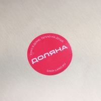 Лопатка для пиццы Доляна &laquo;Салем&raquo;, 44,5&times;25&times;6 см, рабочая часть d=25 см