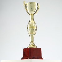 Кубок 042С, наградная фигура, золото, подставка пластик, 26,2 &times; 8,7 &times; 7,5 см.
