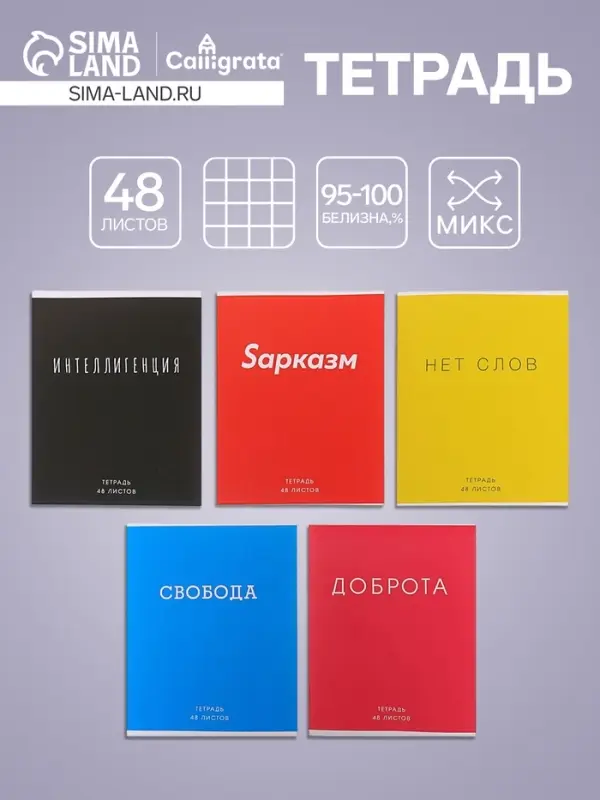 Тетрадь 48 листов в клетку Calligrata &laquo;Фраза&raquo;, обложка мелованный картон, блок офсет, МИКС