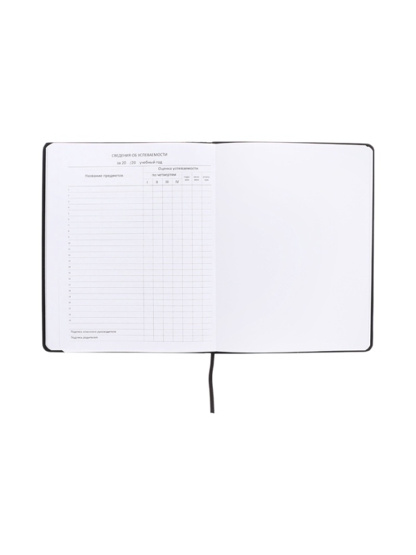 Дневник школьный 1-11 класс, deVENTE. 99% CRAZY&raquo;, искусственная кожа, шелкография