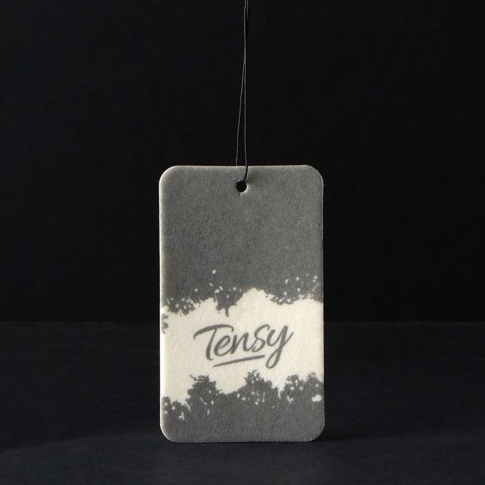 Ароматизатор подвесной Tensy картонный, Новая Машина TA-12 МИКС