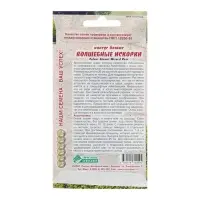 Семена Колеус блюме "Волшебные Искорки",  10 шт