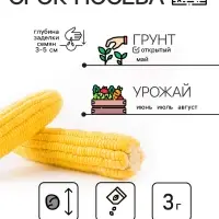 Семена Кукуруза "Краснодарский сахарный 250 CВ", 3 г