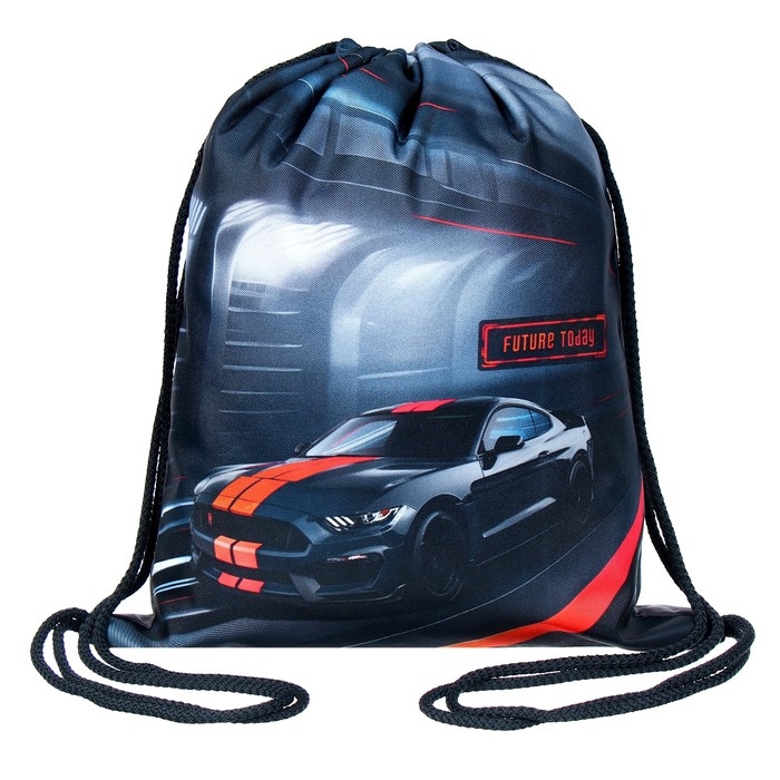 Мешок для обуви 435 х 360 мм, Stavia (плотность 600D с водоотталкивающей ПУ-пропиткой) "Тачка"