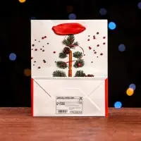 Пакет ламинированный "Шишки на елочке" 11,5 х 14,5 х 6 см