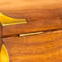 Шкатулка "Слон" 15,5х10х7 см, дерево шишам, латунь