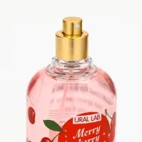 Мист парфюмированный для тела, аромат: рождественская вишня, 200 мл, URAL LAB