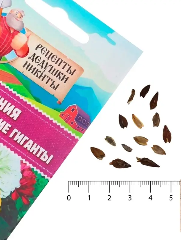 Семена цветов Цинния "Калифорнийские гиганты" смесь, 0,3 г