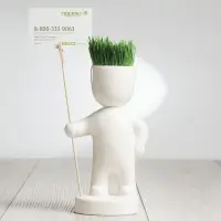 Набор для выращивания Funky Headman