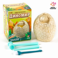 Набор для раскопок &laquo;Диномир&raquo;, гипсовое яйцо, инструменты, 5+